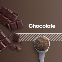 Poudre de protéines de lactosérum 100% saveur chocolat, marque privée, isolat de protéines de lactosérum