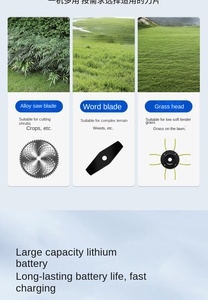 Tondeuses à gazon débroussailleuse électrique <span class=keywords><strong>batterie</strong></span> lithium rechargeable débroussailleuse désherbeur - Product Image 5