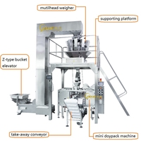 Machine à emballer les sachets à fermeture éclair TOP Y chocolat dattes entièrement automatique ensacheuse remplissante pour snacks et fèves de chocolat