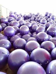 Trung Quốc 2024 chất lượng cao bán sinh thái thân thiện phòng tập thể dục Pilates tập thể dục mềm PVC Tùy chỉnh yoga bóng - Product Image 6