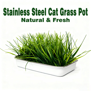 Kit de plantation d'herbe à chat hydroponique biologique en acier inoxydable de haute qualité, plateaux de culture, pot de germination de graines à double couche - Product Image 4