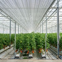 Filet de protection à double couture, résistant aux déchirures, pour l'ombrage des cultures agricoles, la couverture des pépinières et l'utilisation en serre