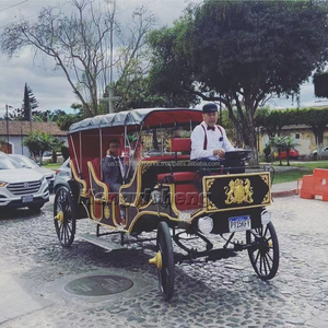 Chariot électrique personnalisé à plusieurs rangées de lumière LED pour le tourisme et le mariage Transport de voyage romantique classique à la mode - Product Image 6