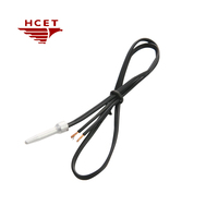 Sensor de temperatura de resistencia de platino personalizado Clase a & B Serie PT100 y PT1000 para horno de tratamiento térmico