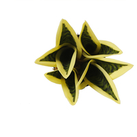 Fausses plantes de bonsaï jaunes de haute qualité, lot de 10, 14CM, serpent artificiel, pour l'intérieur