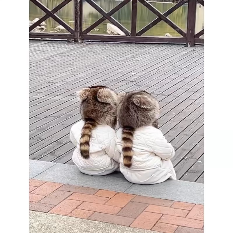 Шапка унисекс из меха енота