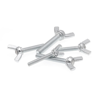Boulon/écrou à aile papillon en acier inoxydable, 304 316 2507 2205 904L M8, vis et lave-linge