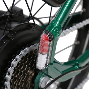 Bicicleta de Montaña de Alta Calidad con Cuadro de 26 Pulgadas, Motor Trasero de 48V 750W, 7 Velocidades, Frenos de Disco, Cuadro de Aluminio R26 con Down Tube - Product Image 2