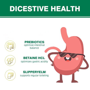 Hot Sale Probiotics Enzyme Capsules Added Digestive Enzymes Prebiotics Gut Health Nutrient Absorption Digestive System Support - Product Image 6