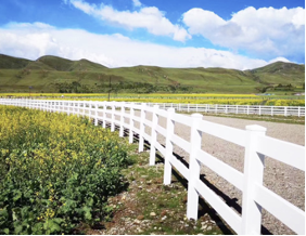 Longjie, прямая цена от производителя, Легко собранный 2 рельса, ПВХ пластиковый виниловый защитный забор для фермы и лошади - Product Image 6