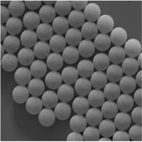 Microsphères magnétiques tolylées pour la recherche en immunologie, pour l'immobilisation des anticorps et les applications de détection de biomarqueurs