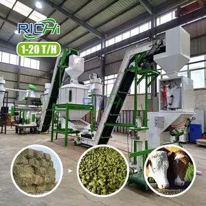 Capacité personnalisée 1-20 t/h équipement de pelletisation de paille à vendre