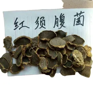 Fungo Rhizopogon Roseolus Crudo Affettato Essiccato, Falso Tartufo Selvatico in Vendita - Product Image 1