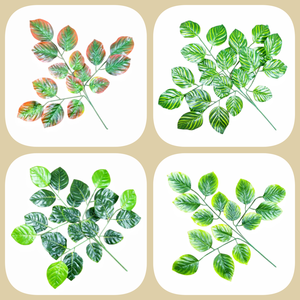 Vente en gros de haute qualité Feuilles artificielles Real Touch Plantes décoratives artificielles Plantes de verdure Feuille de <span class=keywords><strong>laurier</strong></span> - Product Image 4