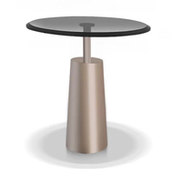 Table basse de salon WISEMAX, style moderne et luxueux, en métal, avec plateau en acier inoxydable