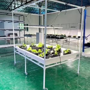 Sistema de cultivo hidropónico para interior, soporte de bandeja de plástico para plantas vegetales de 3x6 pies, sistema de inundación hidropónica, ya disponible