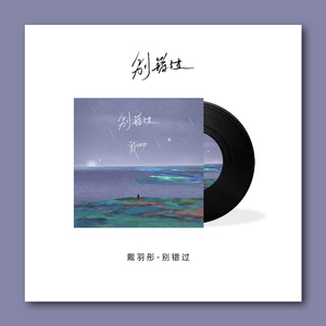 Sản Phẩm Khuyến Mãi Tùy Chỉnh 3 Inch Cho Hàng Thủ Công Trong Áo Khoác Ép LP Vinyl Màu Đen - Product Image 4