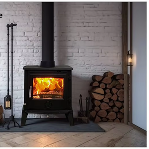 Estufas de <span class=keywords><strong>leña</strong></span> de hierro fundido para interiores, resistentes al calor, para el hogar, de la marca US Forest. - Product Image 2