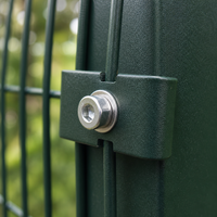 OEM Fabrieksdirect Roestbestendig Solide Duurzaam Eenvoudig te Monteren Gecoate Gelaste Gaas 3D Hekwerk voor de Tuin