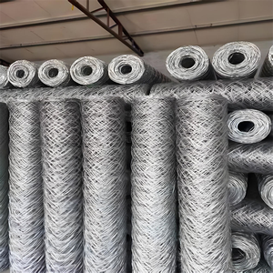 High Quality Galvanized Hexagonal Wire Mesh <strong>Netting</strong> for Poultry Agricultural <strong>Insulation</strong> Fencing PVC Coated Chicken Wire Mesh - Product Image 1