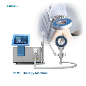 Machines les plus récentes magnétothérapie PMST MAX Dispositifs de thérapie par champ électromagnétique pulsé Soulagement et gestion de la douleur