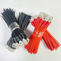 Kabel Terminal OT Ring, Kabel Daya Arus Tinggi, Tembaga Berlapis Timah, Kabel Penghubung Baterai, Kabel Harness Listrik Berinsulasi Khusus