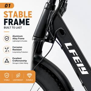 <span class=keywords><strong>Tricycle</strong></span> <span class=keywords><strong>électrique</strong></span> à gros pneus pour la neige, certifié CEE, 750W, pour passagers et marchandises, avec batterie au lithium pour adultes - Product Image 3