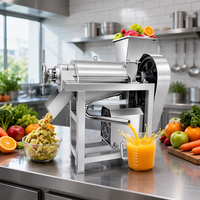 Équipement d'extraction de jus industriel en acier inoxydable 304, presse à fruits et légumes commerciale, conception personnalisée