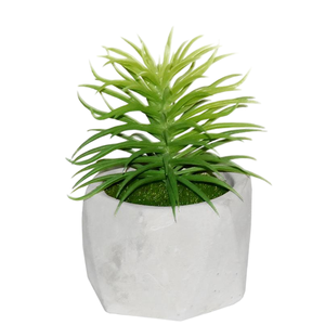 Ramo <span class=keywords><strong>de</strong></span> Plantas Artificiales, Suministros <span class=keywords><strong>de</strong></span> Jardín, Plantas Verdes, Panel <span class=keywords><strong>de</strong></span> Pared Artificial, Cobertizo <span class=keywords><strong>de</strong></span> Jardín Realista, Plantas Suculentas al por Mayor - Product Image 1