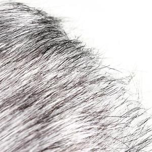 Zoom H4N <span class=keywords><strong>H2N</strong></span> accesorio de grabadora cubierta de micrófono de mano Manguito protector de manga de parabrisas para uso en estudio - Product Image 5
