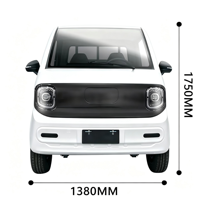 Camionnette électrique économique avec lecteur MP5, conduite à gauche, véhicule de service municipal pour le Qatar