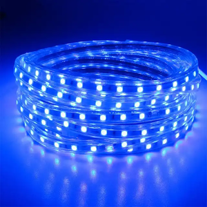 SMD 5050 ngoài trời điện áp cao 110V/220V đơn màu mờ ấm trắng Trắng 14-16lm/LED 10 wát/mét 60LED không thấm nước LED Strip ánh sáng - Product Image 1