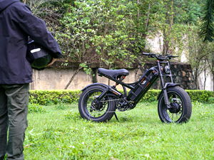 Bicicleta <span class=keywords><strong>El</strong></span>éctrica Avanzada con Llantas Anchas, Ideal para Todo Terreno, para Desplazamientos Diarios, Llanta de 20 Pulgadas, Alto Torque - Product Image 3