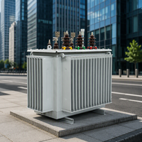 Transformateur de distribution de puissance triphasé immergé dans l'huile pour usage agricole et parcs industriels 1600KVA 2000KVA 2500KVA 6kV 10kV