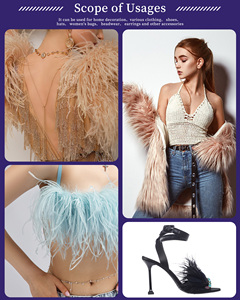 Adorno <span class=keywords><strong>de</strong></span> plumas <span class=keywords><strong>de</strong></span> Boa <span class=keywords><strong>de</strong></span> <span class=keywords><strong>avestruz</strong></span> <span class=keywords><strong>de</strong></span> lujo, plástico para ropa, ideal para coser proyectos <span class=keywords><strong>de</strong></span> bricolaje, técnica <span class=keywords><strong>de</strong></span> costura oscura brillante para pijamas <span class=keywords><strong>de</strong></span> seda - Product Image 6