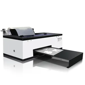 Hot Sell 30cm/40cm A3 Dtf Printer Desktop L1800 1390 Printhead Dtf Printer For PET Film T-Shirt Printing