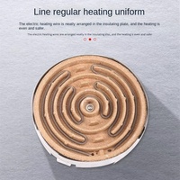 Cuisinière électrique plate en acier inoxydable