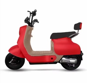 Nueva Motocicleta de Dos Ruedas con Motor sin Escobillas de 800 Vatios, Marco de Acero, Pantalla Digital, Alcance de 31-60 km y Tres Velocidades - Product Image 1