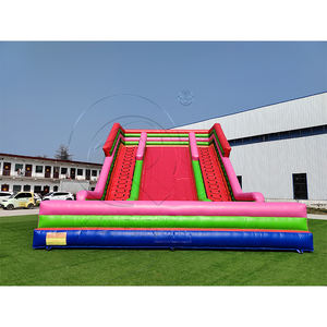 Château gonflable commercial avec toboggan combiné et mur d'escalade, toboggans géants gonflables commerciaux à vendre avec deux échelles - Product Image 2