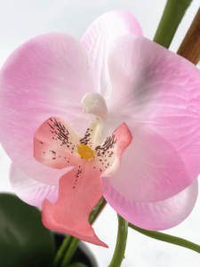 Orquídeas artificiales de plástico para exterior, flores de estilo de moda, plantas de <span class=keywords><strong>Interior</strong></span> - Product Image 3