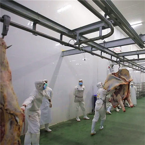 Riel de tubo de línea de sacrificio de cadena de transmisión automática, riel plano de doble riel para ganado, ovejas, <span class=keywords><strong>matadero</strong></span> de cerdos - Product Image 4