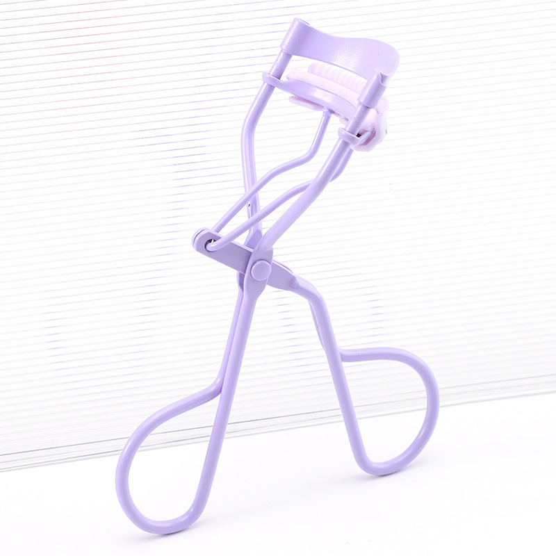 Pourpre