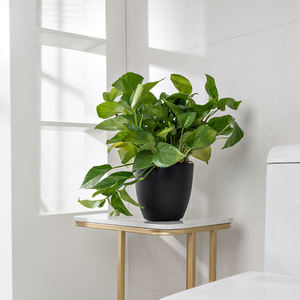 Decoración <span class=keywords><strong>mini</strong></span> macetas suculentas a granel de alta calidad de lujo auto riego macetas para exteriores - Product Image 2