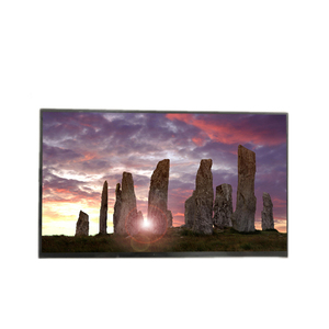 B133HAN04.6หน้าจอ LCD TFT โมดูล LCD ขนาด13.3นิ้ว1920*1080 TFT - Product Image 1