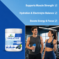 Poudre de Créatine et Électrolytes 300g 2-en-1 Supplément Myrtille Rehydratation Hydratation OEM Marque Privée Vente en Gros