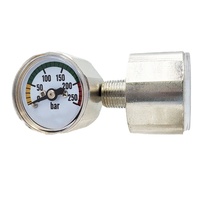 28mm 250bar Miniature High Pressure Gauge for Fire Extinguisher