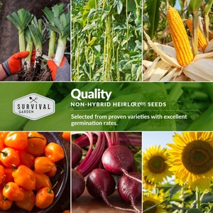 Se puede <span class=keywords><strong>comprar</strong></span> a granel 50 variedades diversas Mix Grow Garden Kit incluye verduras y hierbas Grow Kit - Product Image 6