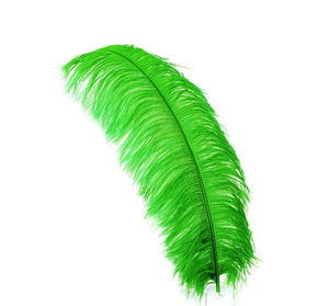 Số lượng lớn lông đà điểu centerpieces 25-30cm dài màu tím cầu vồng lớn màu đỏ trắng Nam Phi đà điểu lông - Product Image 6