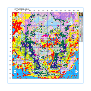 Belle fleur 40X40CM/15.74 pouces <span class=keywords><strong>Kit</strong></span> de point de croix bricolage 11CT/14CT broderie passe-temps suspendu <span class=keywords><strong>peinture</strong></span> <span class=keywords><strong>Kit</strong></span> brodé - Product Image 2