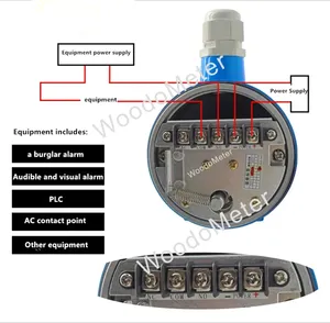 Công tắc và đồng hồ đo mức bằng thép hợp kim có ổ trục kép RS-10 RBA 220V với hỗ trợ tùy chỉnh - Product Image 3